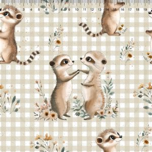 Erdmännchen