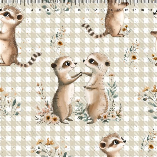 Erdmännchen