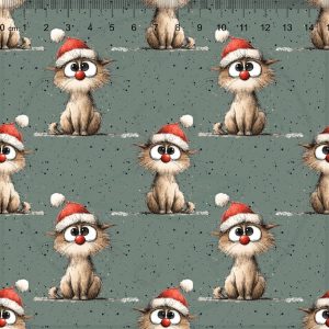 Crazy Christmas Cat