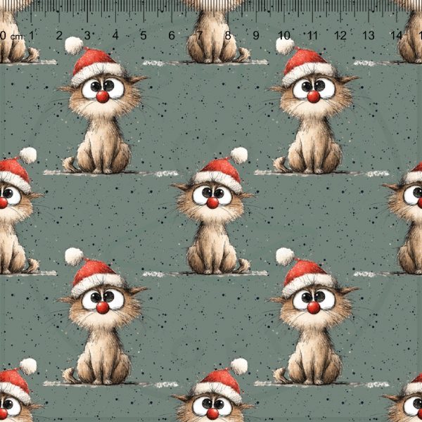 Crazy Christmas Cat