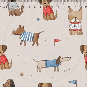 Dogs have Fun