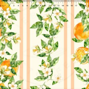 Striped_Oranges