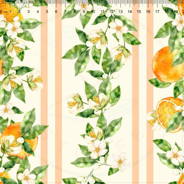 Striped_Oranges