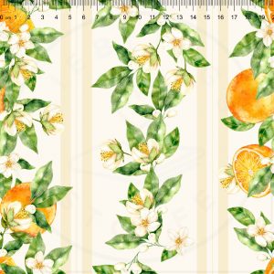 Striped_Oranges1