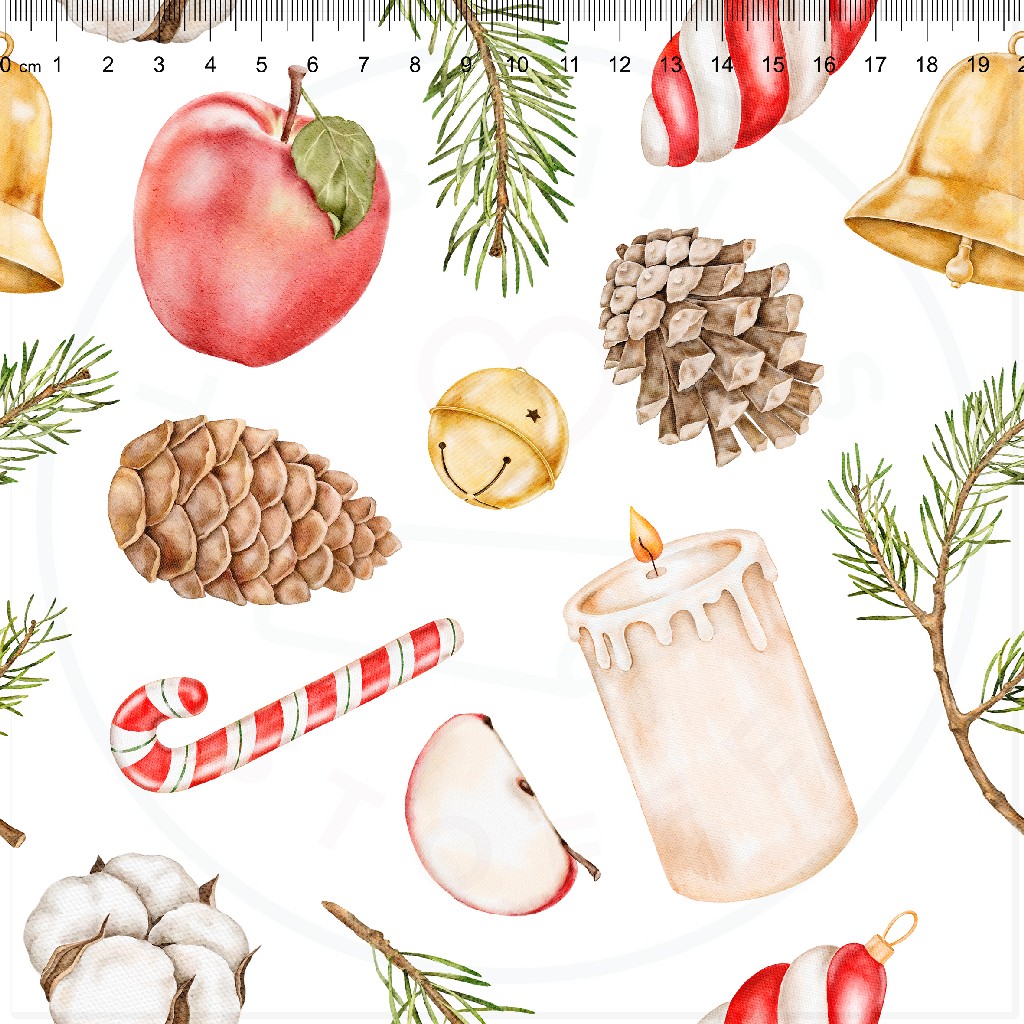 Xmas_Botanical_Watercolor