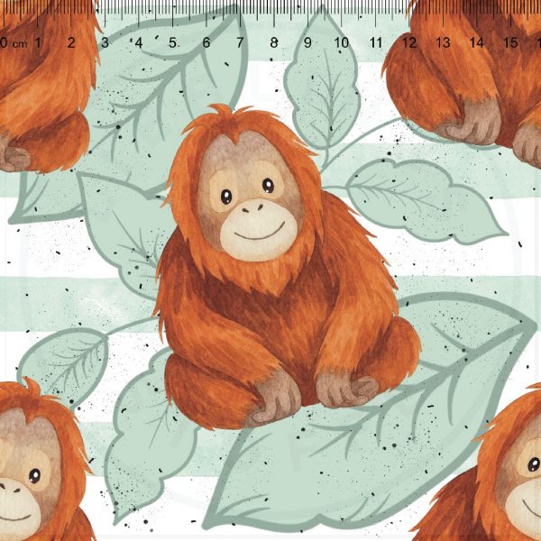 Orang-Utan