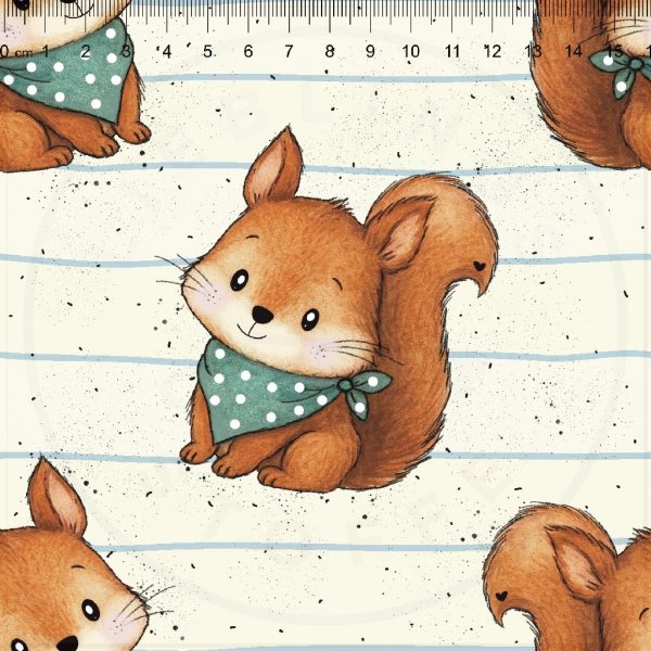 Eichhörnchen